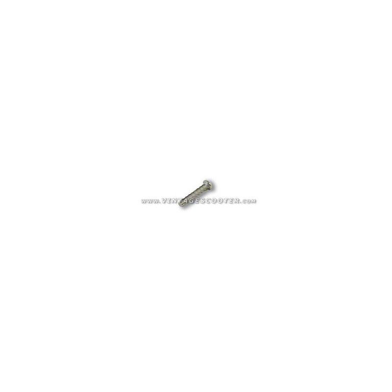 Rivet elicoïdal pour cache Neiman 20300032